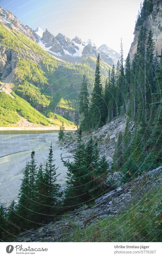 Kanada | Lake Louise | Abends am Ende des Sees Berge Bergsee Ruhe Natur Einsamkeit Landschaft Ferien & Urlaub & Reisen Ferne Abenteuer Tourismus Fernweh