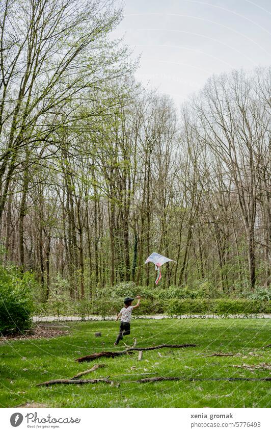 Kind spielt im Wald Sommer Natur Drache Wind Freude Außenaufnahme Spielen Kindheit Freizeit & Hobby Glück Wiese Freiheit Himmel klein Ferien heiter Junge