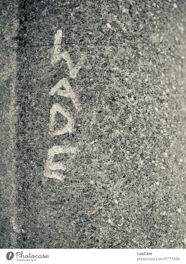 steinharte Wade Stein Beton Wort Schrift Buchstaben Text gemeißelt in Stein gemeißelt geritzt Graffiti Mauer Wand Schriftzeichen Straßenkunst Wandmalereien