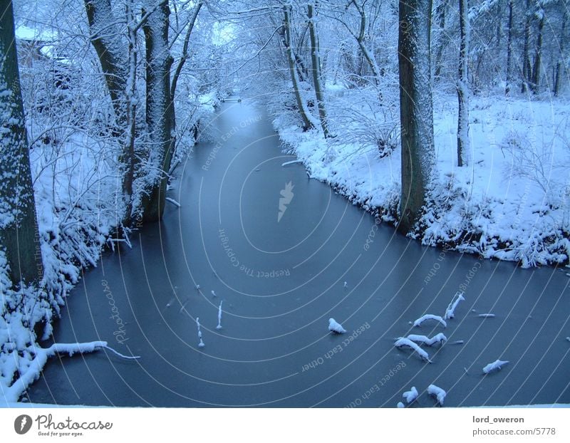 Bach im Winter gefroren Baum Wald ruhig kalt Schnee Eis