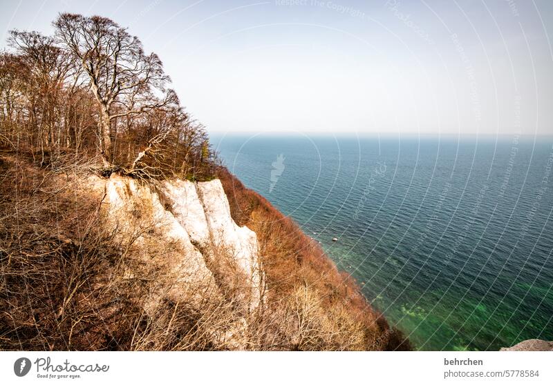 königlich Mecklenburg-Vorpommern Ferien & Urlaub & Reisen Ostsee Himmel Meer Strand Küste Ostseeküste Landschaft Sehnsucht Fernweh Wasser Rügen stille Idylle