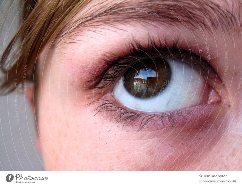 Hoffnung??? Trauer Verzweiflung Wimpern Pupille braun Haus Reflexion & Spiegelung Augenbraue Blick nach oben eye Traurigkeit Aussehen