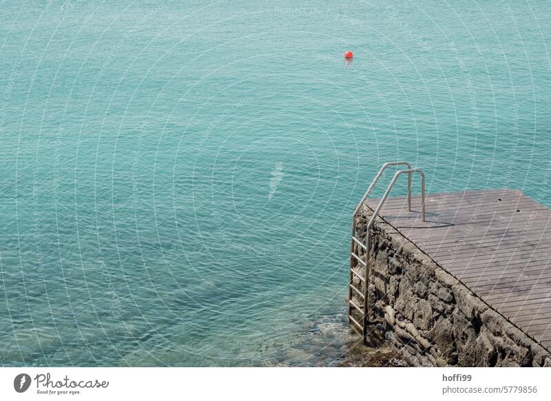 Badestelle mit Einstieg und roter Boje Kai Steg Badesteg Leiter Badesee Badebereich Badebucht Wasser Einstieg (Leiter ins Wasser) Textfreiraum oben Licht Sommer