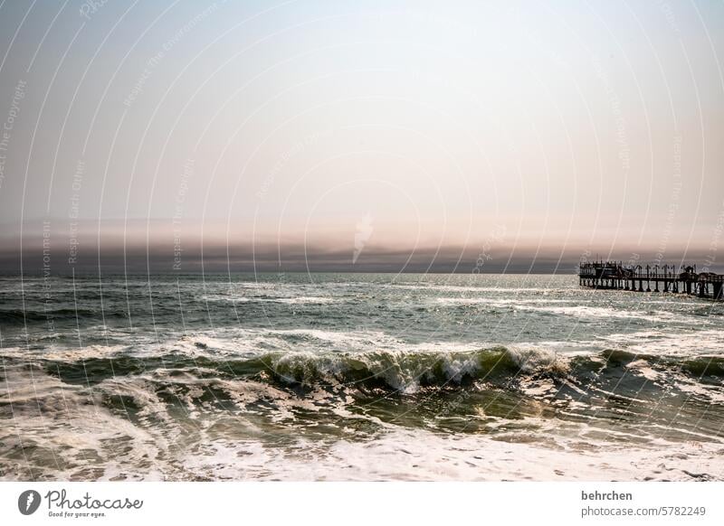 mein allerletztes lieblingsthema | mehr meer Küste besonders Wasser Strand Seebrücke Brandung Rauschen Farbfoto Außenaufnahme Afrika träumen reisen Fernweh