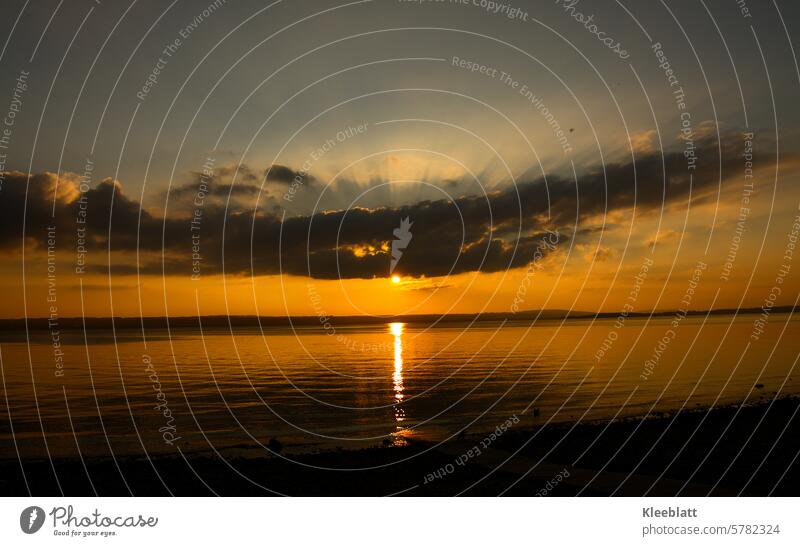 Bemerkenswerter Sonnenuntergang Gardasee Siluette Abend See Wolken blau rot färben Wolken Himmel Hitze orange Abenddämmerung Außenaufnahme Dämmerung Natur