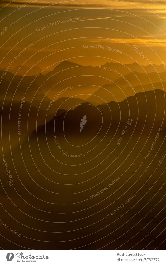 Goldene Stunde über den Gipfeln des Lago Maggiore golden Berge u. Gebirge Silhouette Gelassenheit Ansicht mehrschichtig Spitzenwerte mystisch Atmosphäre