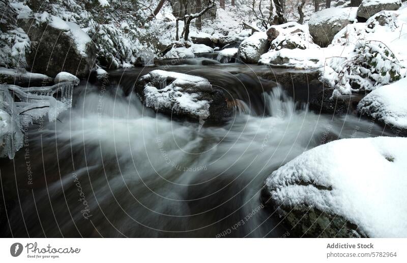 Winterliche Strömung des von Schnee umgebenen Penalara-Bachs strömen penalara Steine eisig Niederlassungen Wasser fließen ruhig Landschaft Natur kalt weiß