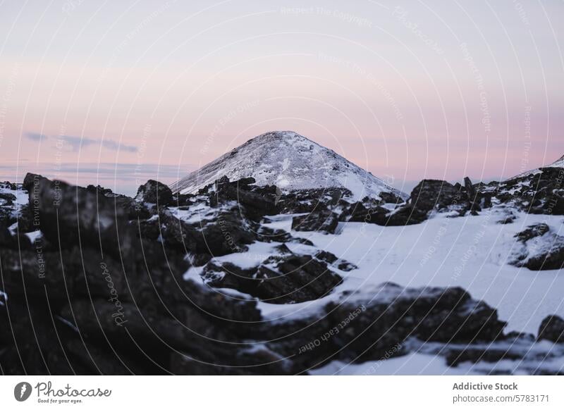 Verschneiter Berggipfel in der Dämmerung in Island Berge u. Gebirge Schnee Gelassenheit Landschaft ruhig rosa blau Gipfel schneebedeckt Abenddämmerung Natur