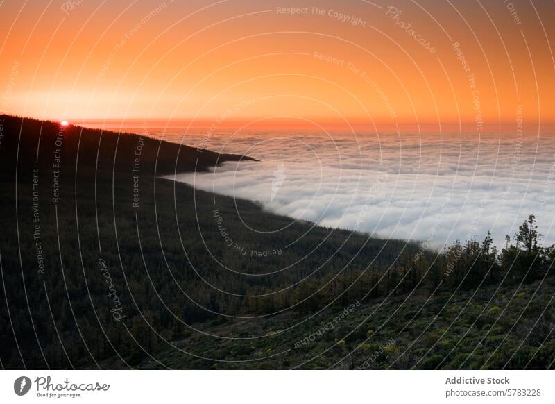 Sonnenuntergang über dem Wolkenmeer im Teide-Nationalpark Natur Schönheit Landschaft Dämmerung Abenddämmerung Gelassenheit panoramisch Ansicht malerisch ruhig