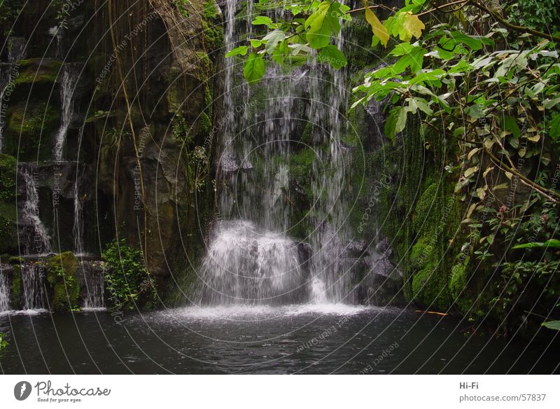 Wasserfall Teich See Geplätscher Gebirgssee Wildbach Natur Regen wasserspiel Sprühwasser