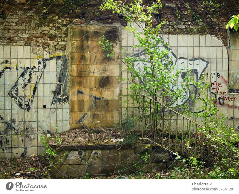 Lost Place I Zugemauerte Tür, bewachsene Treppe und verschmierte Fassade Verlorener Ort verlassener Ort verlassenes Gebäude zugemauert zugemauerte Tür