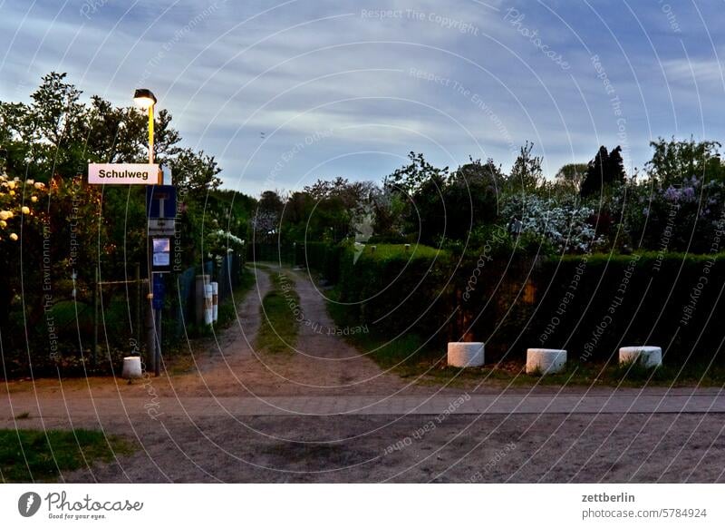 Schulweg abend ast baum blühen blüte dunkel dämmerung erholung erwachen ferien frühjahr frühling frühlingserwachen garten hecke himmel kleingarten