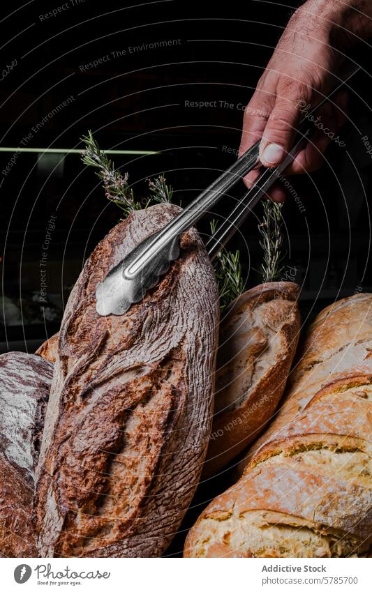 Handwerkliche Sauerteigbrotauswahl mit knuspriger Kruste Brot Kunstgewerbler gebacken frisch Varieté Auswahl Zange Bäckerei selbstgemacht rustikal ganz Brotlaib