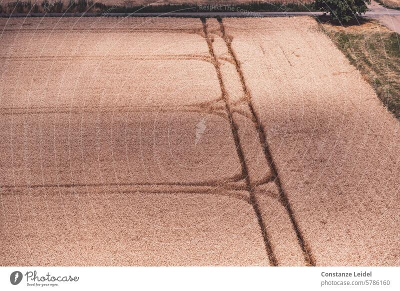 Muster im Getreidefeld Linien Acker Feld Ackerbau Landwirtschaft Kornfeld Sommer Landschaft Ernährung säen einsäen Spuren Spuren hinterlassen Ernte Wachstum