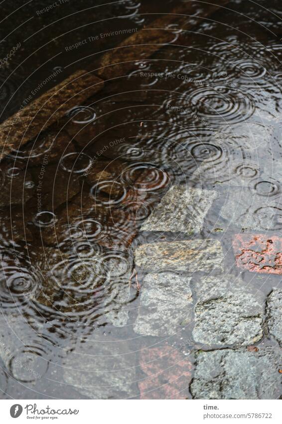 Lebenslinien .168 Regen Regentropen Regenwasser nass feucht überschwemmt Straße Kopfsteinpflaster Fahrbahnrand Bürgersteig Ringe Überschwemmung Element