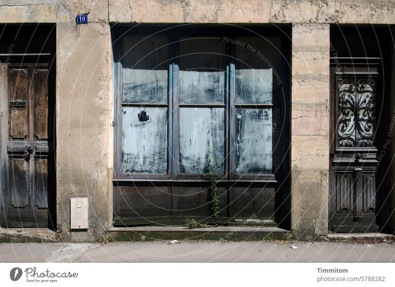 Haus Nummer 10 Fassade Ziffer Schild Türen Fenster Fensterscheiben Wand Stein Eingänge Trottoir schatten Licht und Schatten Menschenleer Farbfoto Pflanze