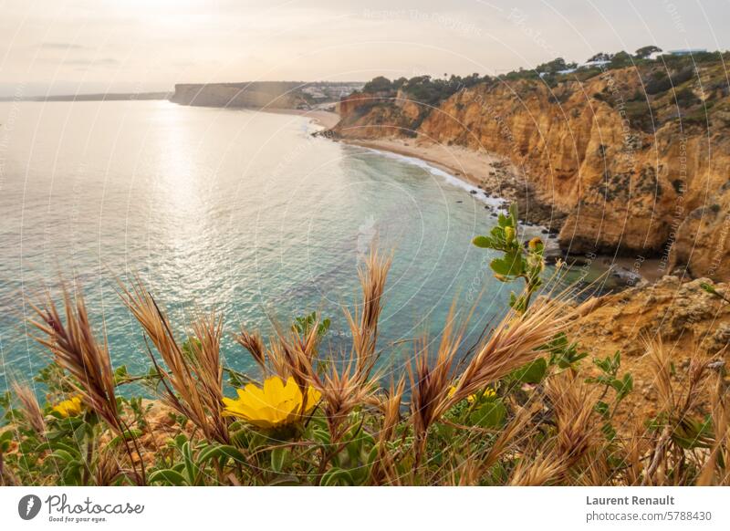 Die zerklüftete Küste in der Morgendämmerung, mit Blick auf den Strand in der Nähe von Lagos an der Algarve, Portugal atlantisch Bucht Klippe Küstenlinie