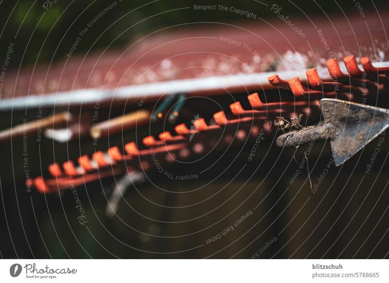 Gartenutensilien Werkzeug Gartenunterhalt hobby Freizeit & Hobby grün Pflanze Gartenarbeit Natur Gärtner Gartenbau Pflanzen Frühling Rechen Hacke harke
