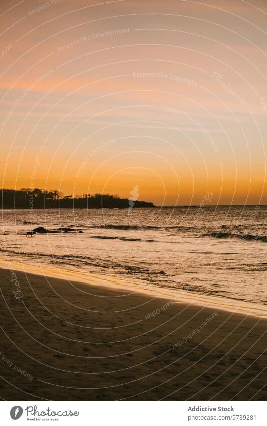 Glühender Sonnenuntergang an einem ruhigen Strand in Costa Rica warme Farbtöne sanfte Wellen Halbinsel Silhouette Ruhe Meereslandschaft tropisch Küstenlinie