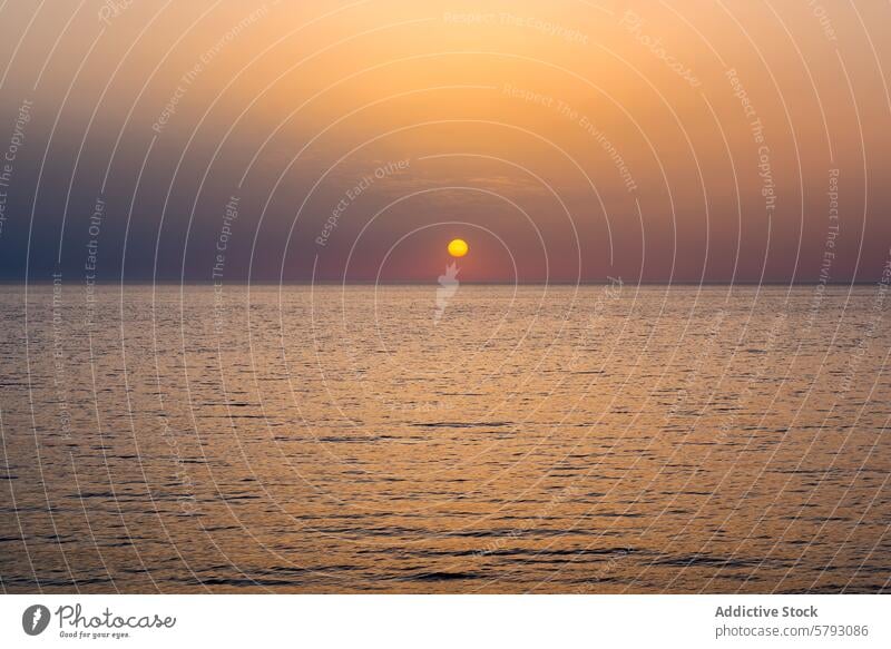 Ruhiger Sonnenuntergang über dem sardischen Meer Sardinien Italien MEER Windstille golden Gelassenheit Atmosphäre Küste ruhig Wasser Abenddämmerung Horizont