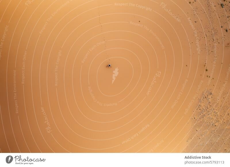 Einsames Boot auf goldenem Sand in Sardinien Antenne Ansicht Bernstein Gelassenheit Abenteuer Küste Italien Einsamkeit Natur Schönheit malerisch reisen