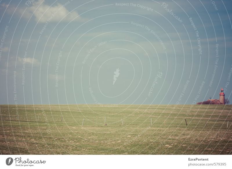 rechtsaußengestaltung Umwelt Natur Landschaft Pflanze Erde Luft Himmel Wolken Frühling Sommer Klima Wetter Schönes Wetter Gras Wiese Feld Haus Leuchtturm