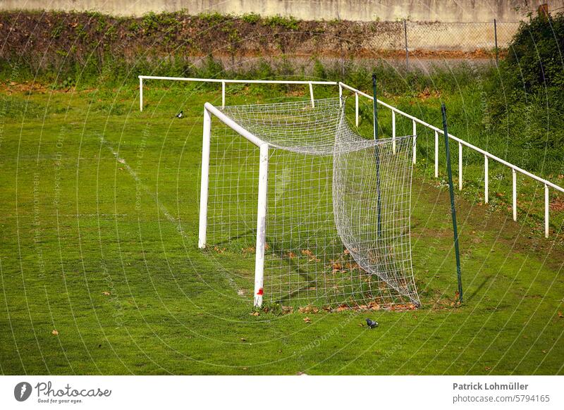 Bude tor sport amateursport netz tornetz freizeit hobby rasen grün sonnenlicht Freizeit & Hobby Fußball sportlich Fußballtor Fußballplatz Sportplatz Spielfeld