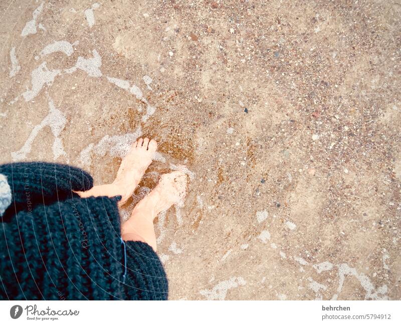 zähne zsmmbßn | irgendwann spürt man nichts mehr kalt Rügen Ostsee Ferien & Urlaub & Reisen Strand Meer Wellen Fuß Küste Schwimmen & Baden genießen Zehen Wasser