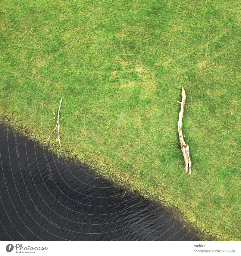 Treibholz beim Pause machen Holz Fluss Wasser Ufer Baumstamm Natur See Gras Wiese Flussufer liegen gestrandet trocken auf dem Trockenen Land landen treiben zwei