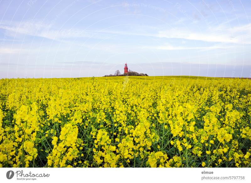 Bastorfer Leuchtturm umgeben von blühendem Raps Leuchtturm Buk Rapsblüte Frühling Frühjahr Mecklenburg-Vorpommern Norden Ostsee Kühlungsborn Blog Signalberg