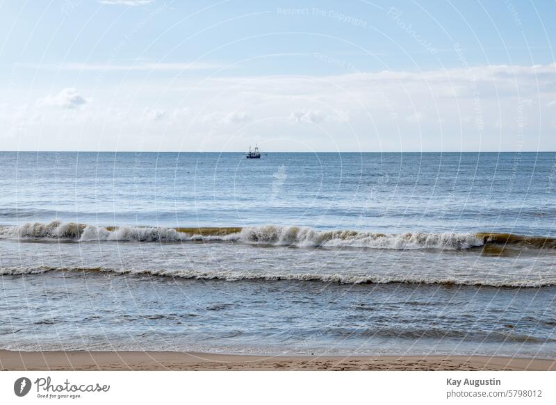 Kutter Krabbenkutter Nordsee Nordseeküste Küste Meer Himmel Ferien & Urlaub & Reisen Außenaufnahme Landschaft Strand Natur Nordseegarnelen Flachwasser