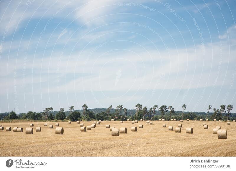 abgeerntetes Feld mit gerolllten Steoballen.Im Hintergrung wald und eine leichte Anhöhe.2/3 des Bildes blauer Himmel mit Schleierwolken Landschaft