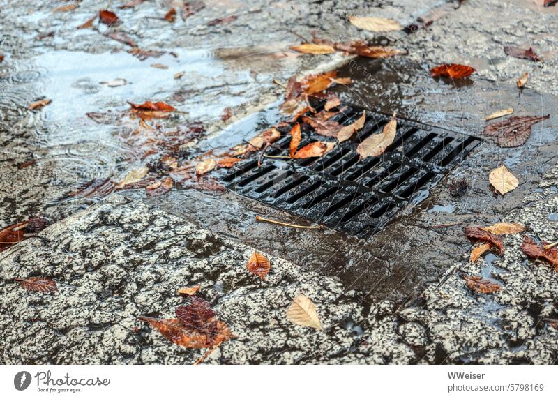 Es regnet in der alten italienischen Stadt. Die Herbstblätter sammeln sich malerisch am Ablauf Regen Wetter Straße Boden unten nass feucht Pfützen Italien