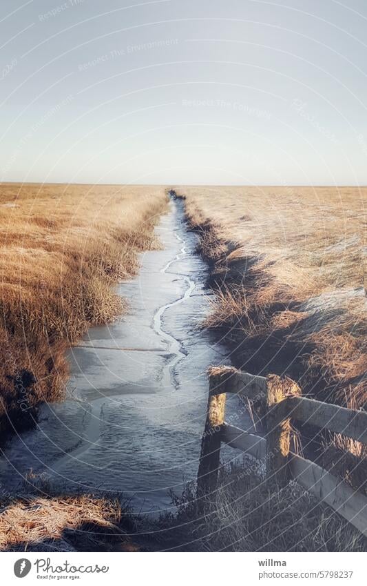 Wasserlauf auf der Hamburger Hallig, Nordfriesland Priel Kanal Fleet Raureif gefroren Ebene Marschland Holzgeländer frostig kalt Frost Winter Kälte Wasserkanal