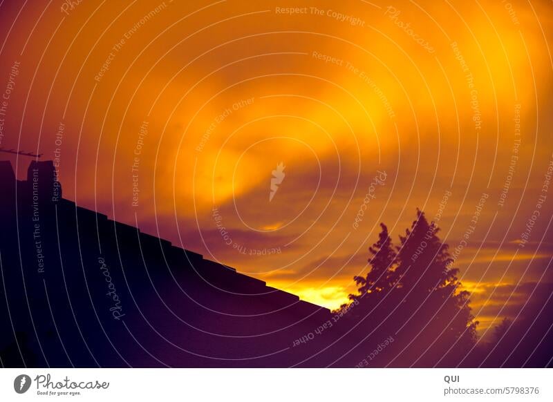 Abenddämmerung im Saharasand Farbspiel Haus Silhouette Sonnenuntergang Lichtspiel Gegenlicht Dach Baum Bäume orange Dämmerung Sonnenlicht Himmel Kontrast