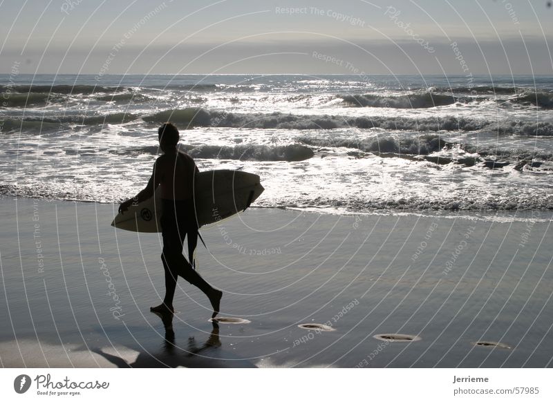 Surf Surfen Strand Wellen Wasser board