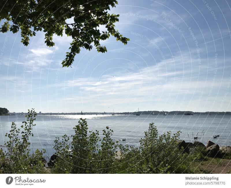 Ocean Race Segler und weitere Schiffe in der Kieler Förde, Heikendorfer Bucht Segelboot Segelboote Fly by Norddeutschland Schleswig-Holstein Meer Ufer Küste