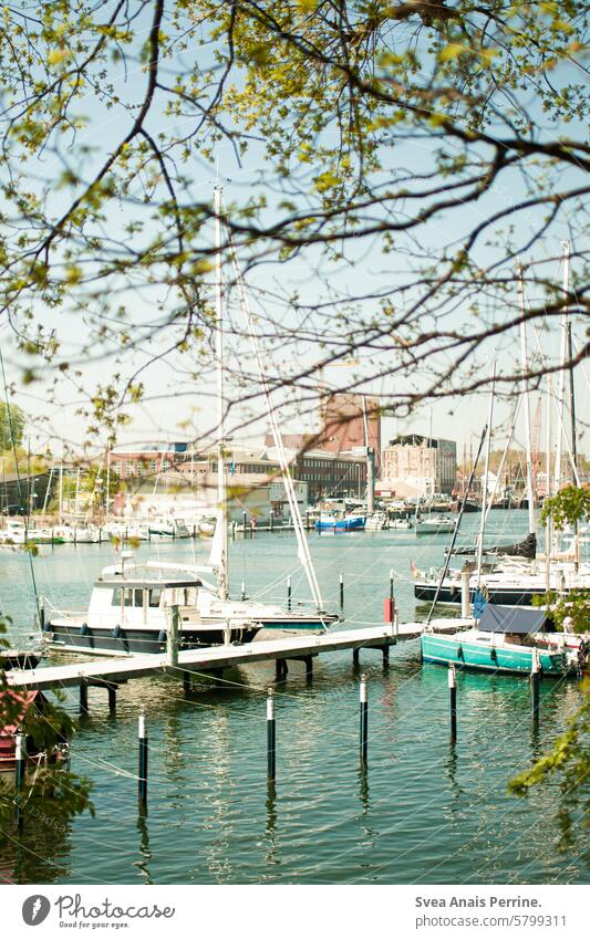 Neustädter Hafen Neustadt in Holstein Hafenstadt Hafengebiet Jachthafen Bootsfahrt Boote Bäume Blauer Himmel geringe Tiefenschärfe Wasser Meer bootsanleger