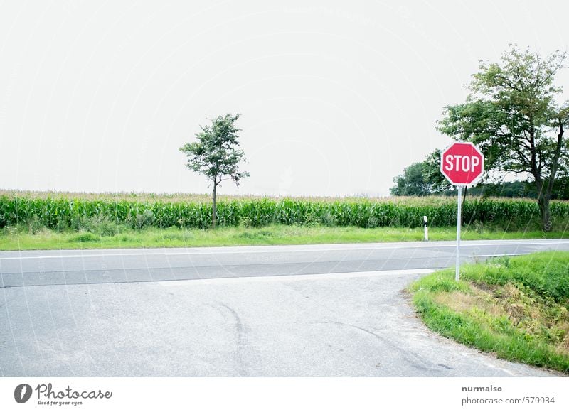 green STOP Ferien & Urlaub & Reisen Tourismus Ausflug Joggen wandern Kunst Natur Landschaft Feld Verkehr Autofahren Straße Straßenkreuzung Verkehrszeichen