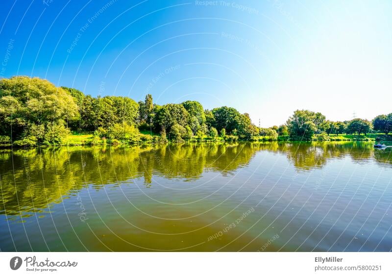 Natur am Kemnader See in der Nähe von Bochum. Ruhrstausee in Nordrhein-Westfalen. Stausee Deutschland Landschaft Wasser Seeufer Umwelt Menschenleer Wald Idylle