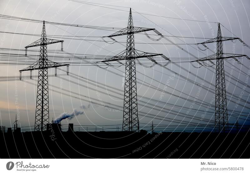 drei hochspannungsmasten Überlandleitungen Hochspannungsmast Strom Technik & Technologie Oberleitung Stromtransport Elektrizität Energiewirtschaft Stromleitung