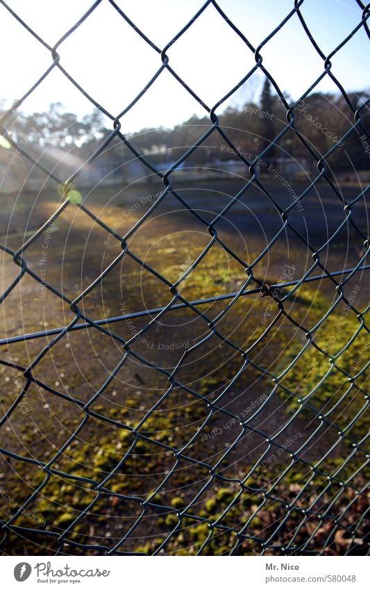 begrenztes licht Umwelt Schönes Wetter Gras Moos Dorf Platz Sicherheit Maschendrahtzaun Zaun Barriere Grenze einsperren Flucht Verfall Stimmung Hinterhof