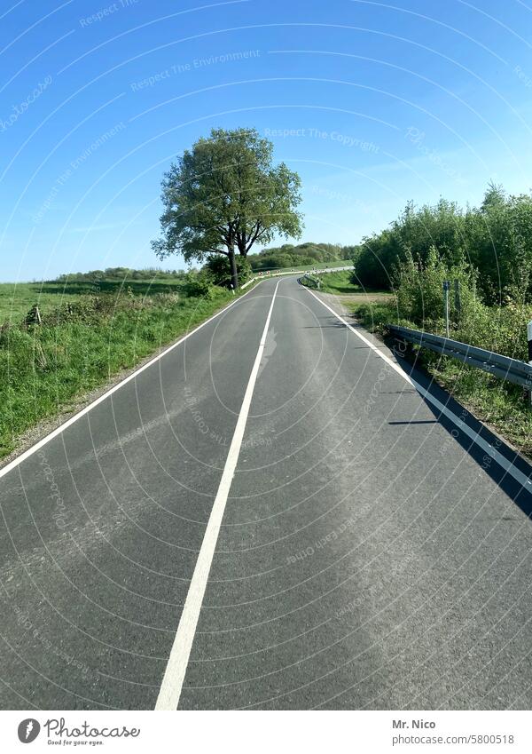 Landstraße Fahrbahn Wege & Pfade Straße Asphalt leere Straße on the road roadtrip zweispurig Durchgezogene Linie Baum grün Leitplanke Himmel straßenverlauf