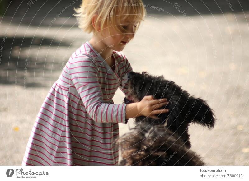 Kind streichelt Hund Streicheln Haustier Tier Kontakt niedlich Freundschaft Zusammensein Vertrauen Hand Mensch und Hund Mensch und Tier Berührung berühren hund