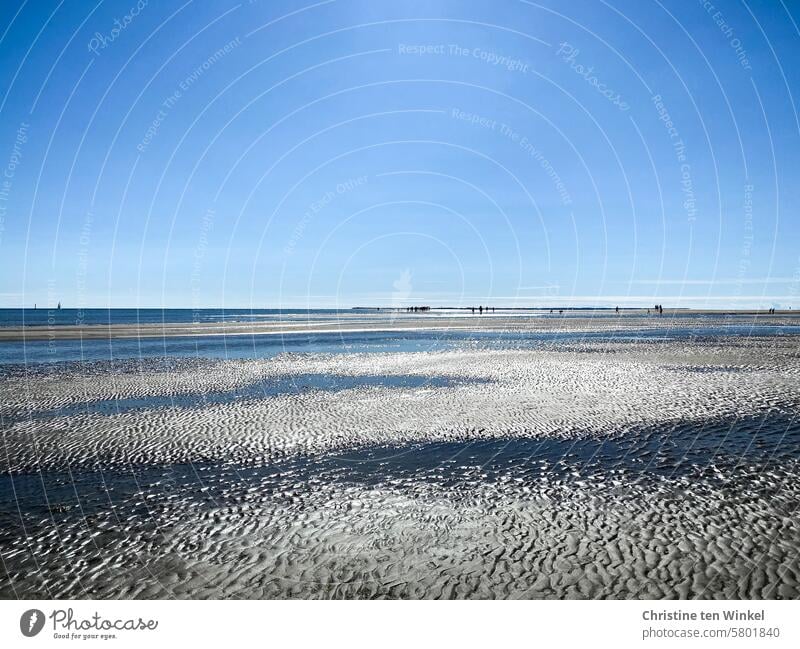 Wattwanderer Nordsee Sommer Wattwandern Silhouetten Wattenmeer Wattwanderung Menschen Himmel Wattboden Meeresboden Wasser Küste Ebbe Natur Gegenlicht Horizont