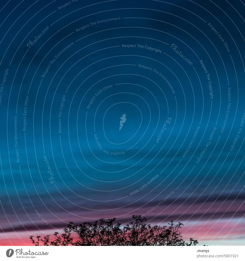 Eines Abends Ruhe Wetterumschwung Meteorologie Klima Himmel dunkel Schliere Abenddämmerung Wolken Stimmung Urelemente Klimawandel Natur blau Wolkenhimmel