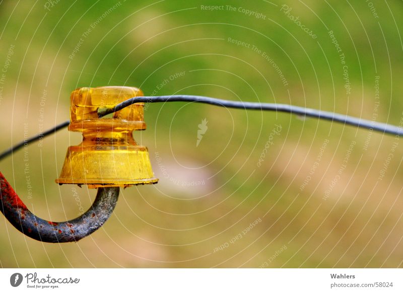 Gelber Strom Zaun Draht Elektrizität Feld Wiese gelb Pfosten Stromschlag Rost