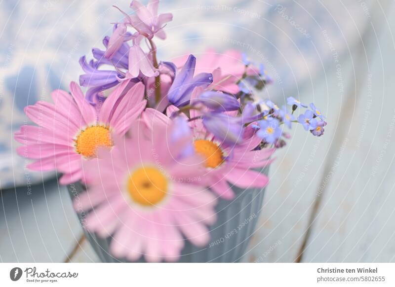 selbstgepflückte Blümchen zum Vatertag Blumen zarte Blüten Frühling blühende Frühlingsblumen einfach so Unschärfe romantische Blüten Romantik romantische Blumen