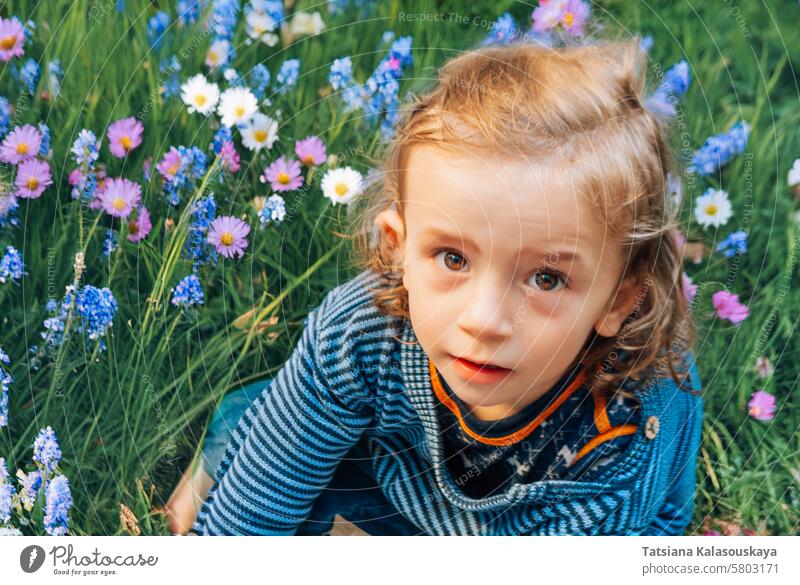 Kleiner blonder langhaariger Junge sitzt auf einer Wiese zwischen Gänseblümchen und anderen Wildblumen und schaut in die Kamera wenig lange Haare Sitzen