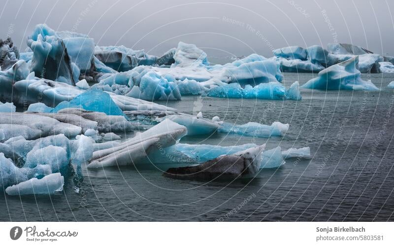 Jökulsárlón, Island gefroren jokulsarlon Eisberg glazial Klimawandel Landschaft Abenteuer Eisberge Ferien & Urlaub & Reisen Erwärmung Bucht Islandreise Frost